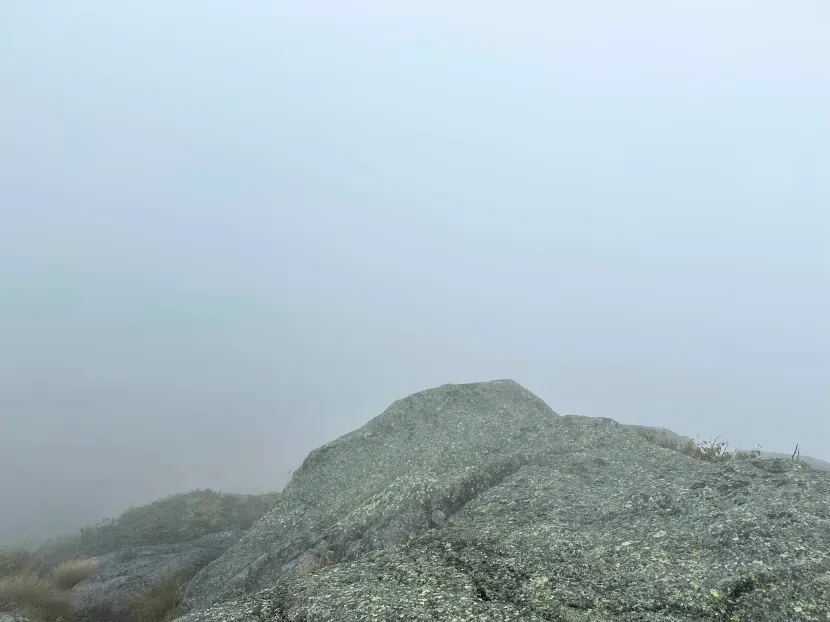 A mountain view entirely covered in fog